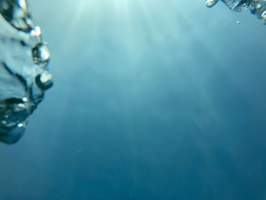 水中写真　すさみ海水浴場